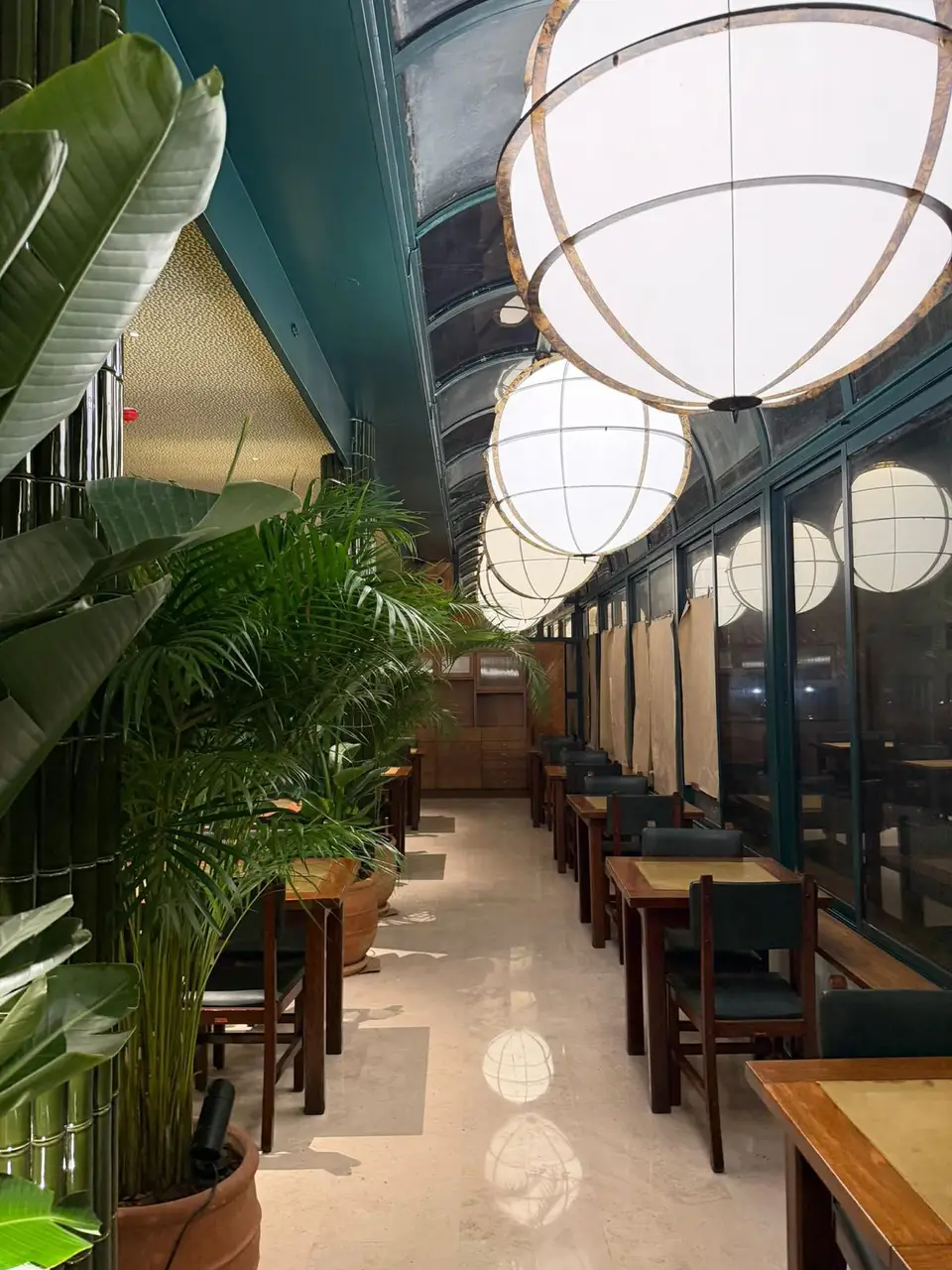 Sala do restaurante com candeeiros redondos e plantas